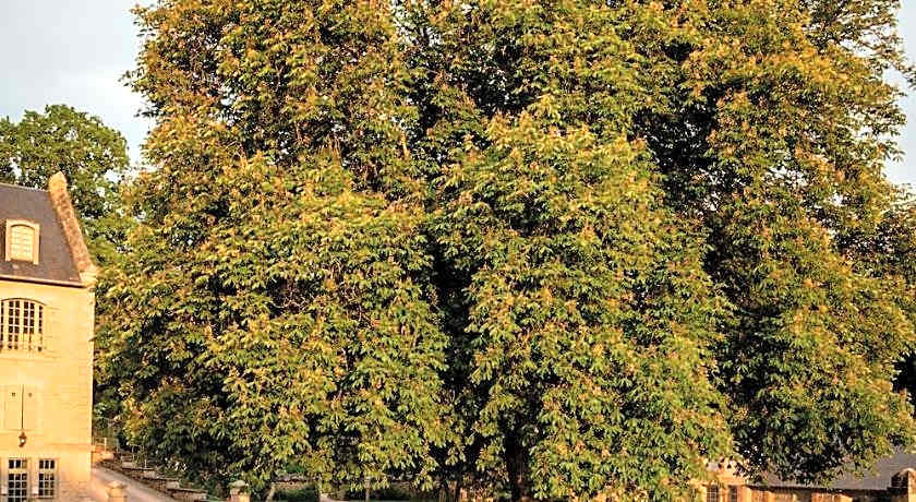 La Maison du Gasseau