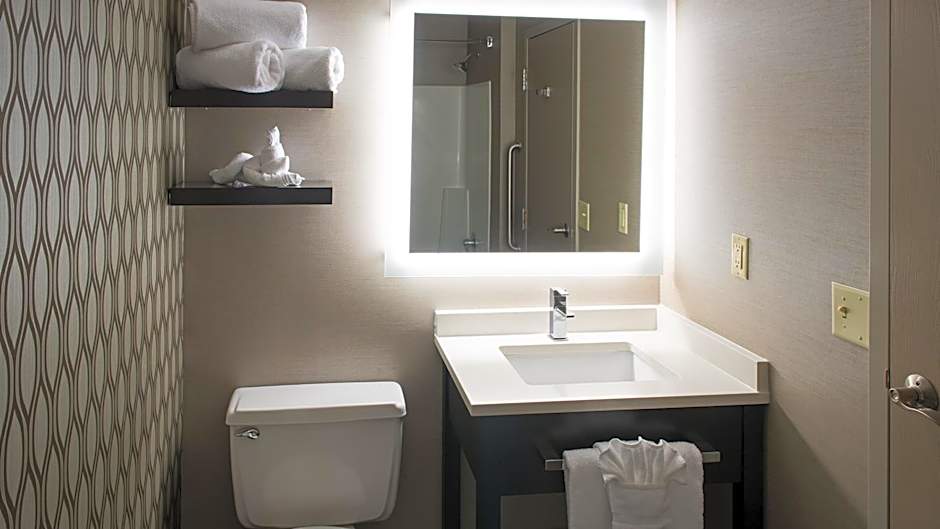 Holiday Inn St. Paul Downtown By IHG