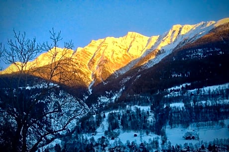 Arve