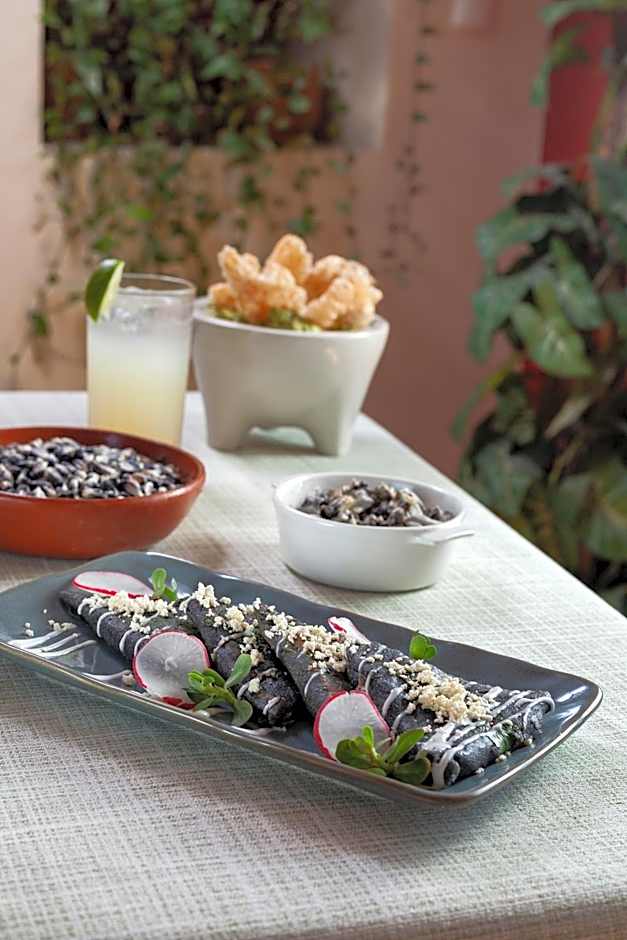 Hotel Plaza San Carlos