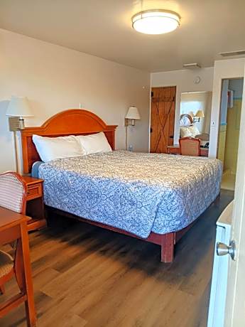 Large Single Room