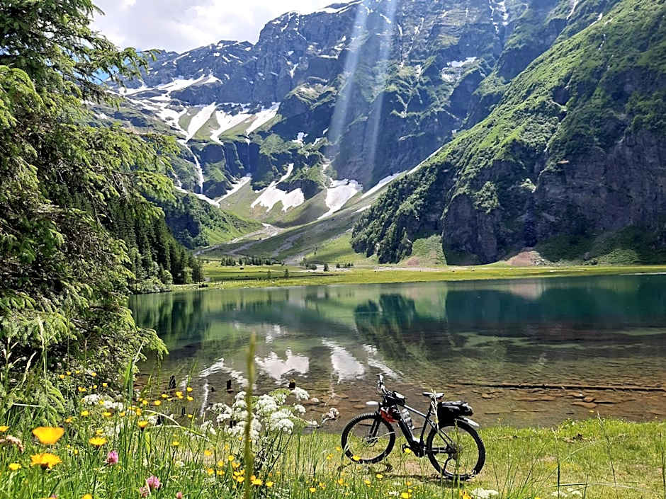 Alphotel Mittersill incl National Park Sommercard