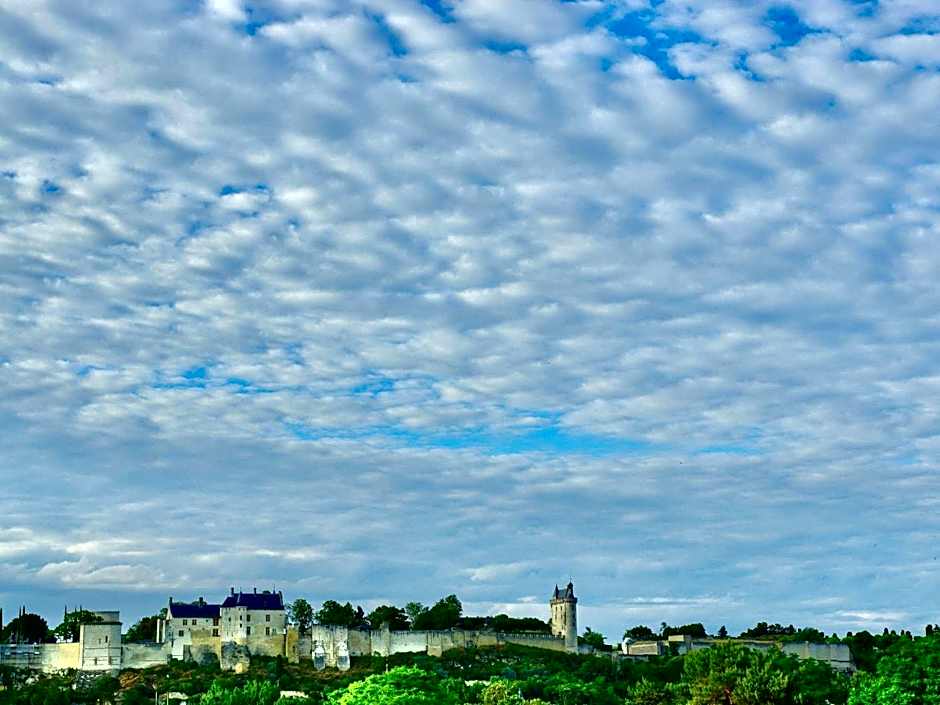 Ibis Styles Chinon
