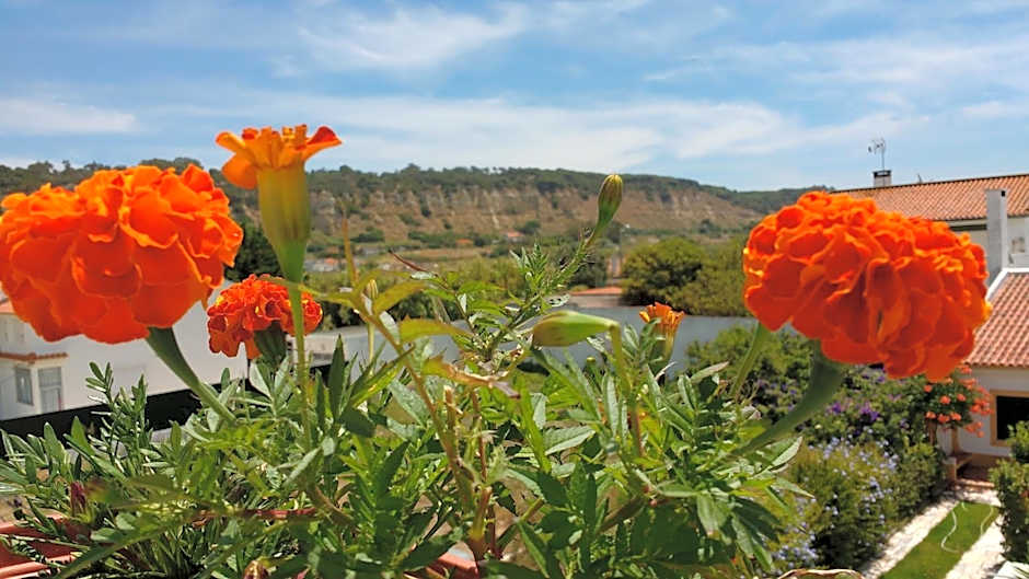 Natural Mystic Hostel