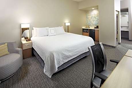 1 Bedroom 2 room Suite, 1 King, Sofa bed