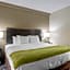Rodeway Inn Grandville