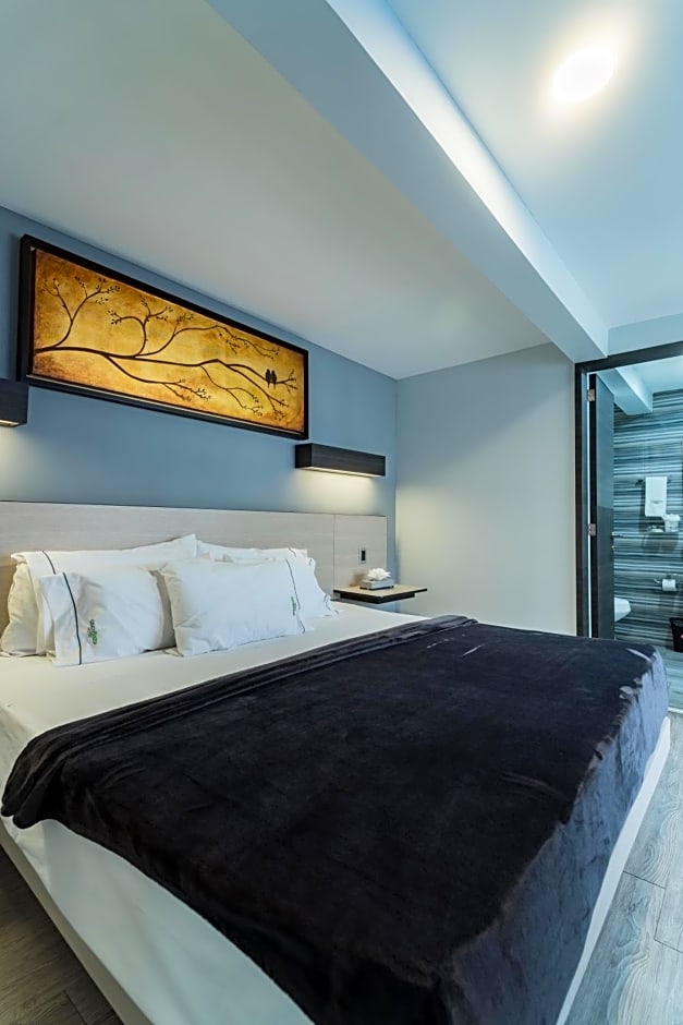 HOTEL LEMON GREEN -Zona Expo Frente al Centro de Convenciones
