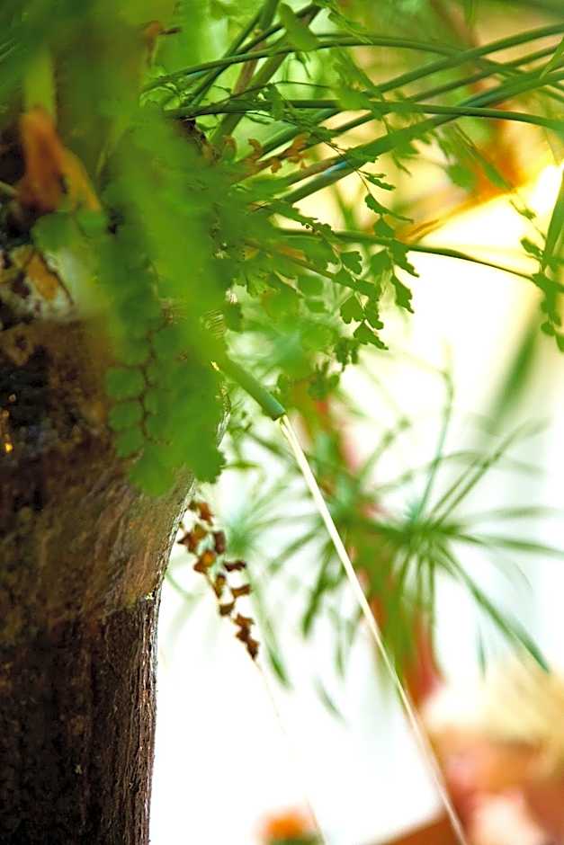 Hotel Emblemático San Agustin