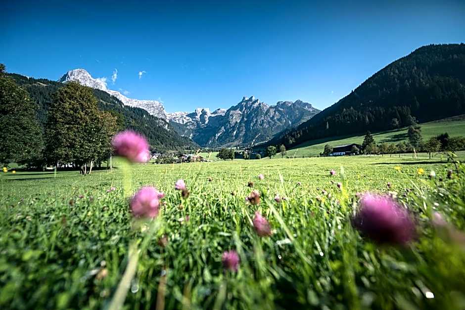 Apart Hotel Alpenhof Werfenweng