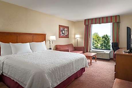 1 KING MOBILITY/HEARING ACCESS W/TUB NONSMOK