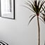 Central City Lofts