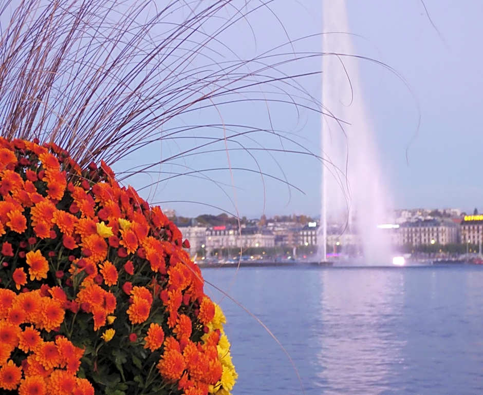 Fraser Suites Geneva - Serviced Apartments