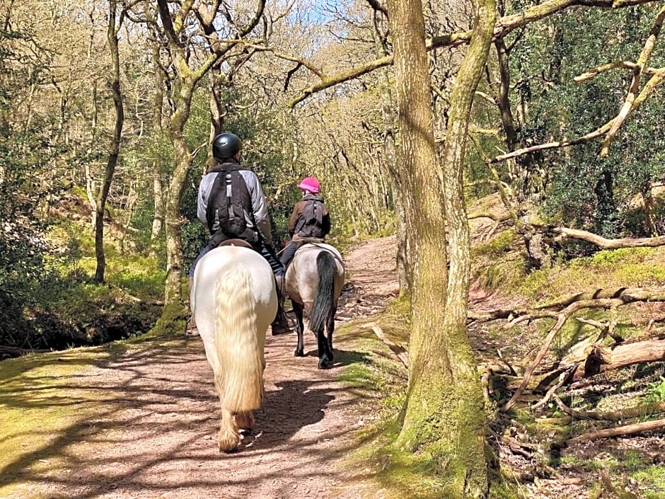 Pardlestone Farm B&B