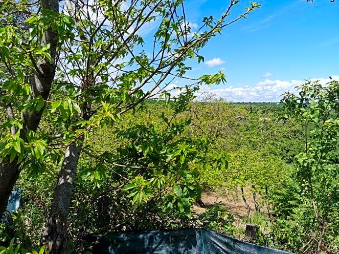 villa di charme con piscina e jacuzzi tra Roma e Viterbo