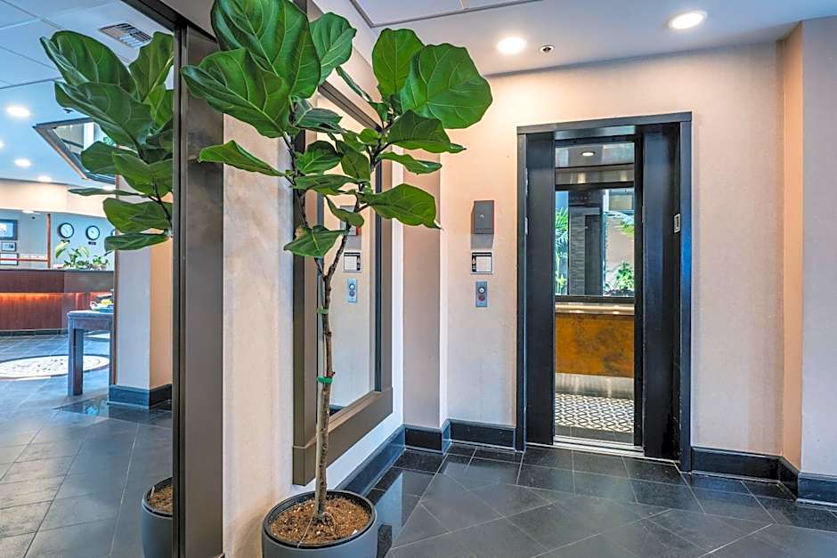 Hotel International