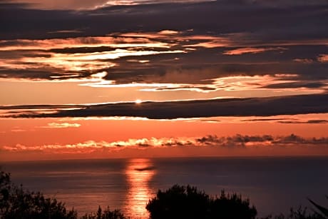 Oasi di Villa Damecuta