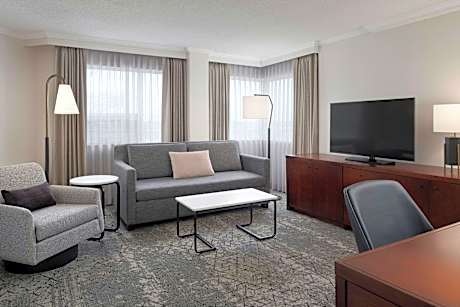 Executive Suite, 1 King, Sofa bed