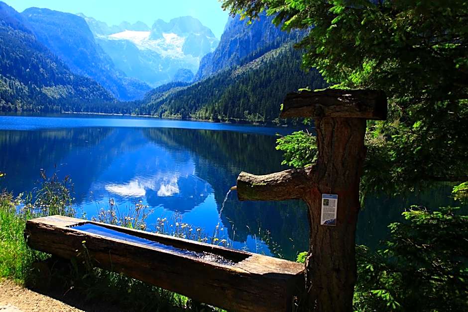 Hotel - Restaurant Gosauerhof