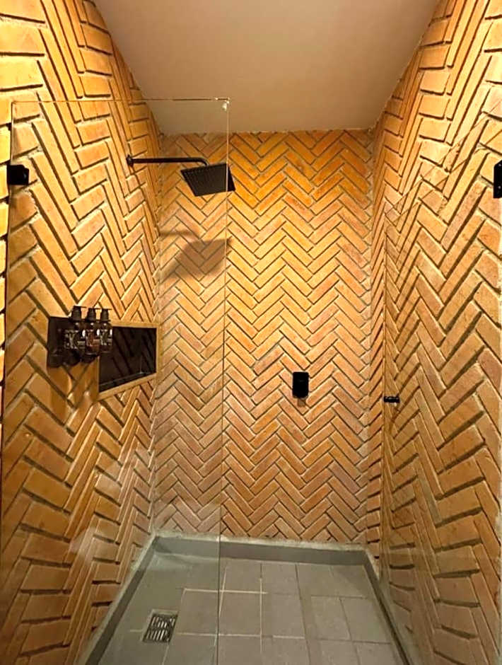 Esplendor by Wyndham San Luis Potosi Monarca