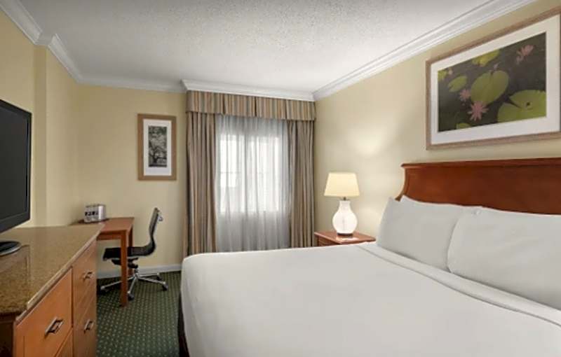 Photo 1 of 1 of Traditional 1 King Bed