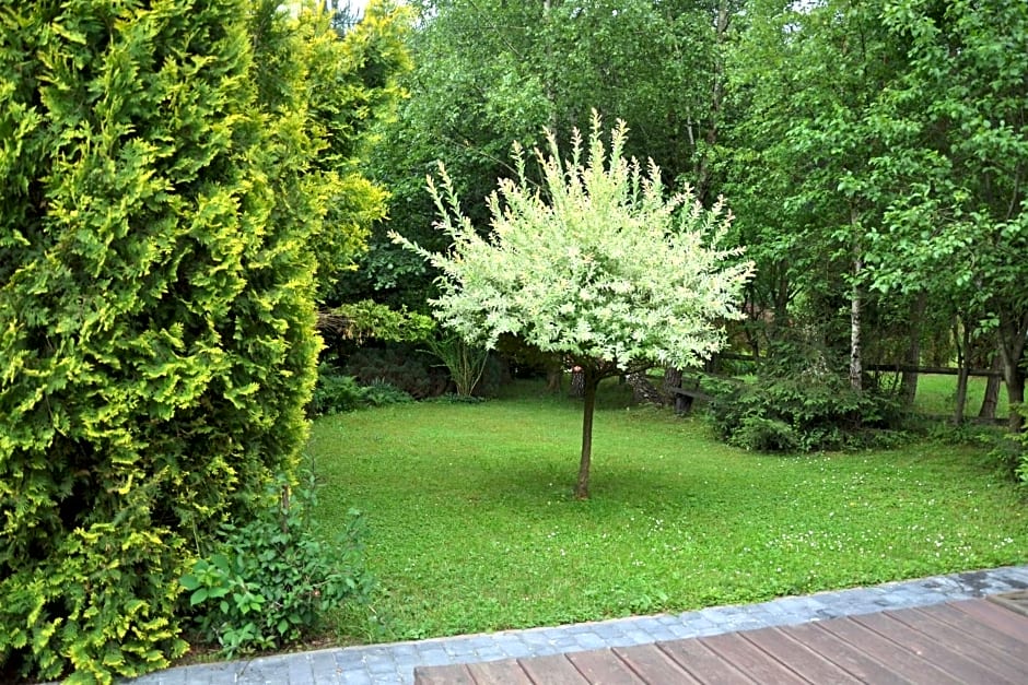 Domki letniskowe Pod Lasem