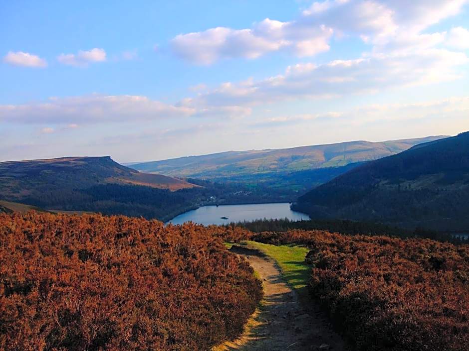 The Dog and Partridge