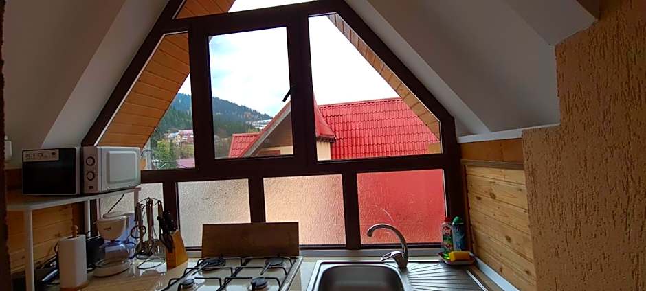 Pensiunea Aurora - Great hostel Voineasa