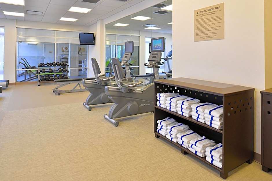SpringHill Suites by Marriott Detroit Metro Airport Romulus