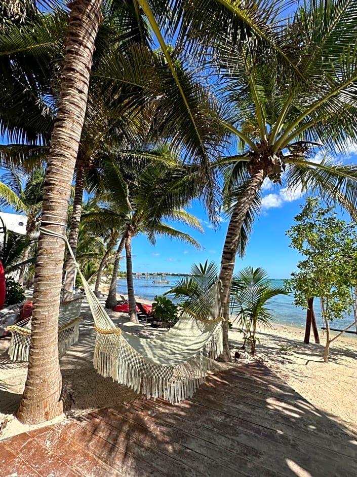 Alea Tulum by Blue sky