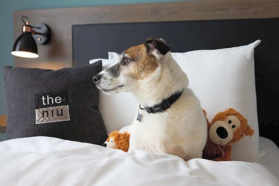 Holiday Inn - the niu, Loom Manchester North By IHG