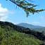 Locanda del Sale Affittacamere