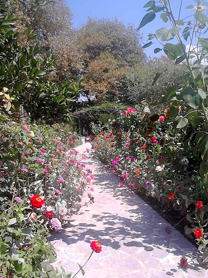 Appartamenti Angelika