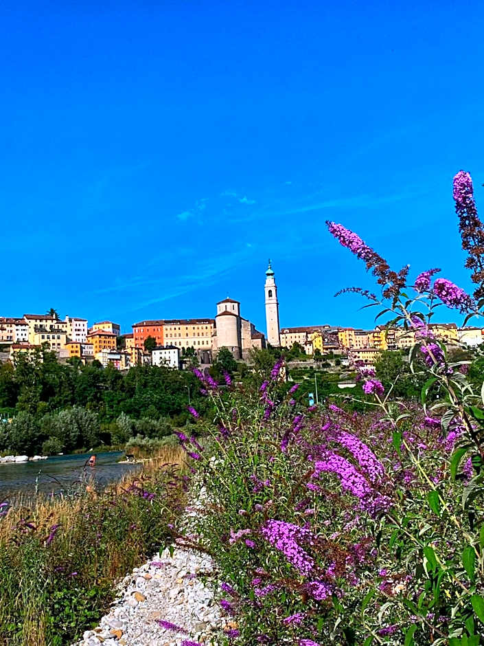 B&B COL DE LE MOLE - DOLOMITI BELLUNESI