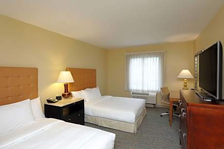 Traditional, Guest room, 2 Double