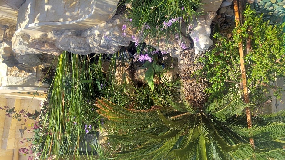 Marom Residence Romema