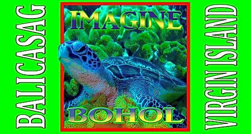 Imagine-Bohol