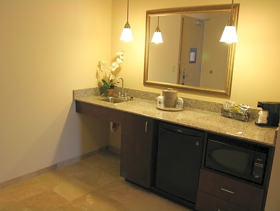 Hampton Inn By Hilton And Suites Savannah-Airport