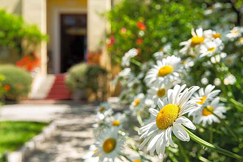 Hotel Villa Elisa & Spa