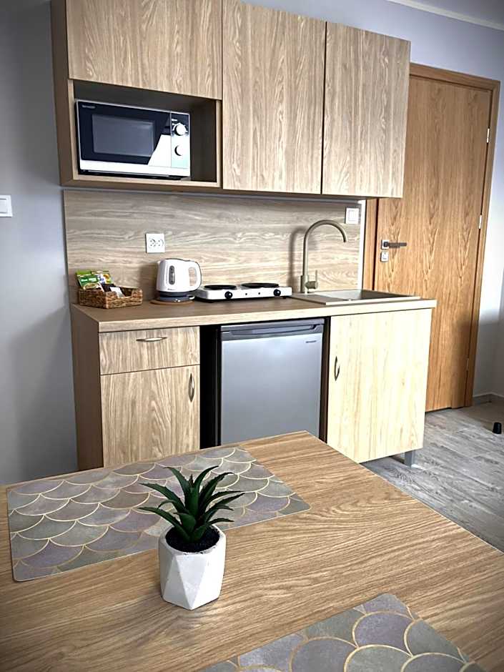 Apartamenty Wilczyńskiego