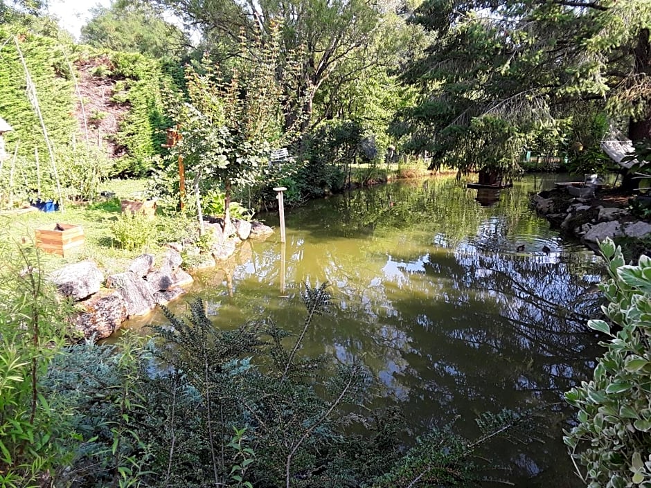 La mare aux canards