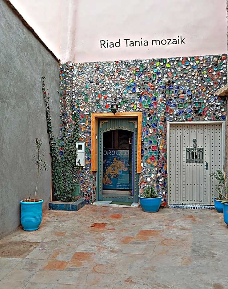 Riad tania mozaik