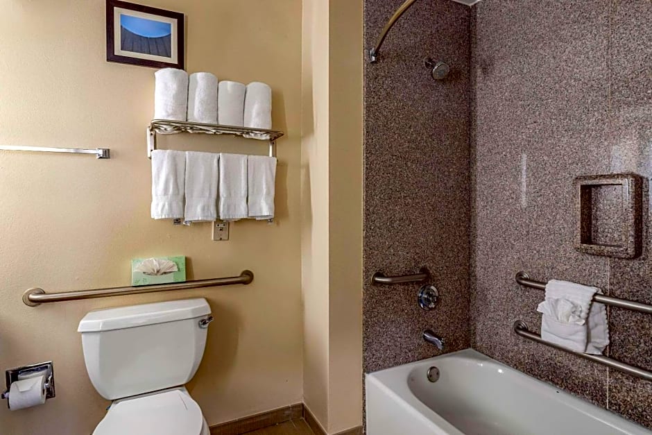 Comfort Suites Near Texas Medical Center - NRG Stadium