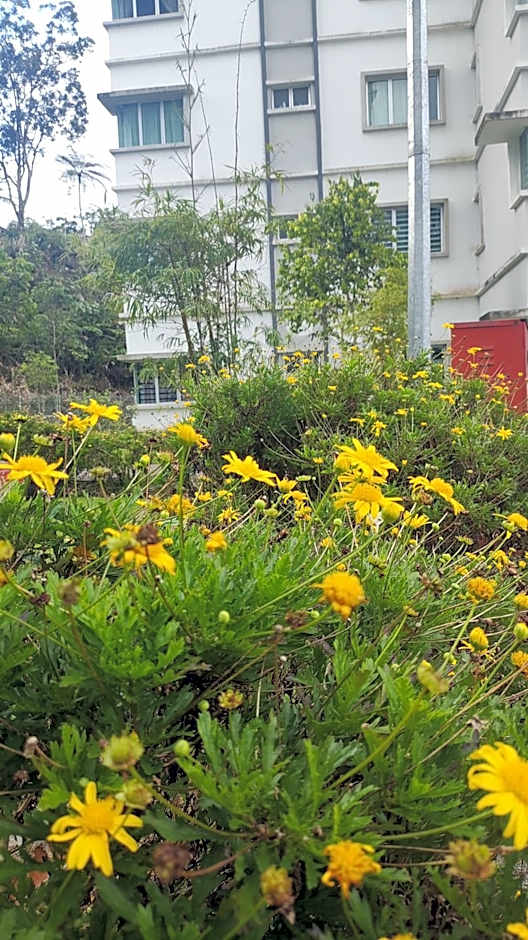 A ONE Holiday Apartment