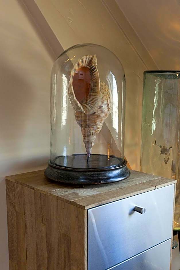 Boutique hotel Box 5