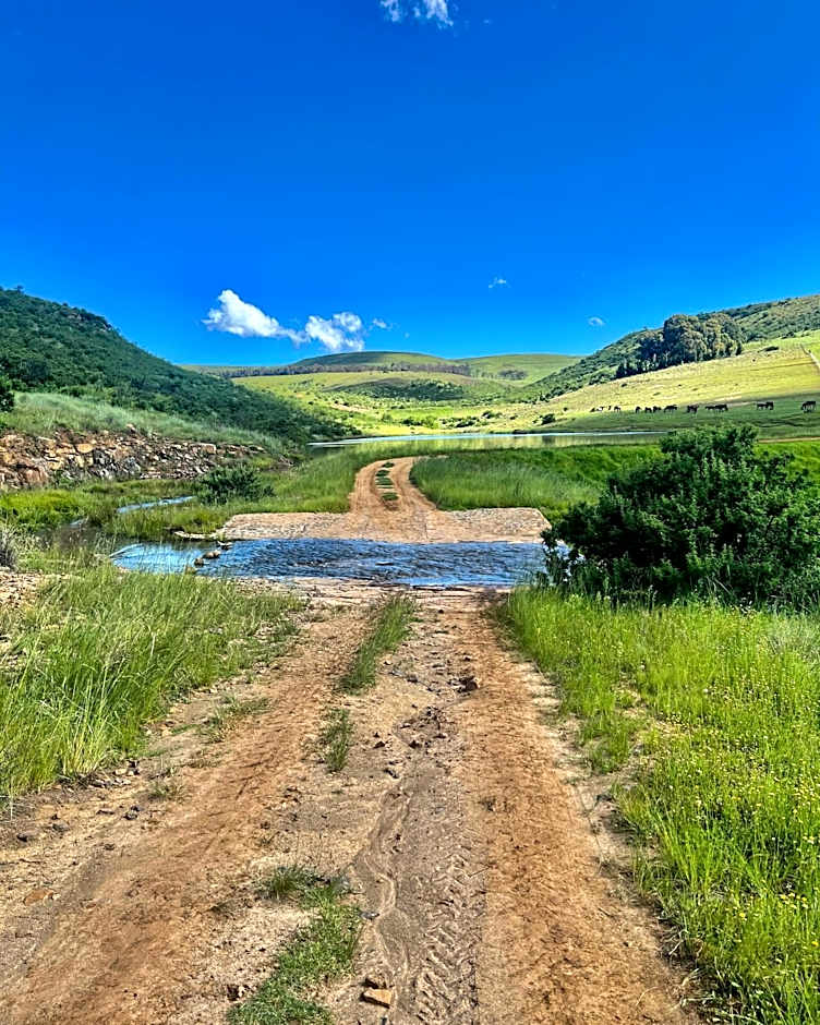 Wetlands Game Lodge