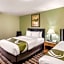 Quality Inn & Suites Plano