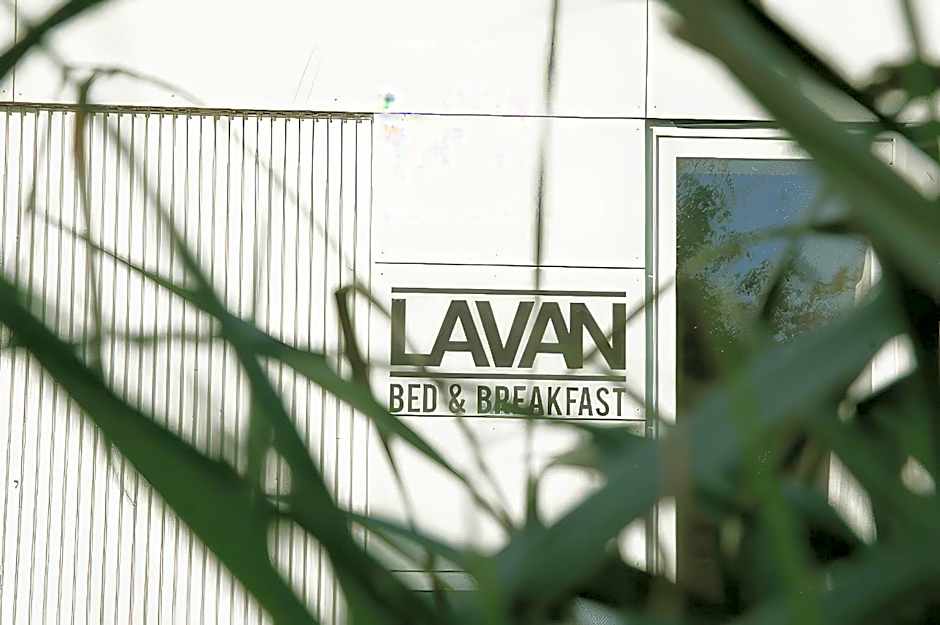 Lavan
