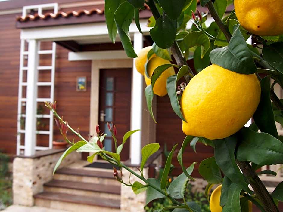 Kimera Lounge Boutique Hotel & Spa