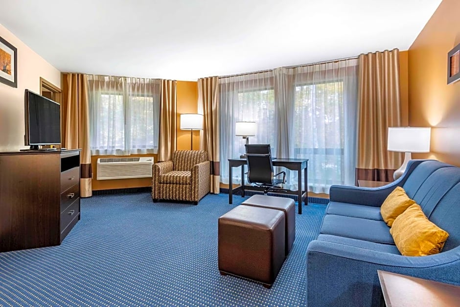 Comfort Inn & Suites Montpelier-Berlin