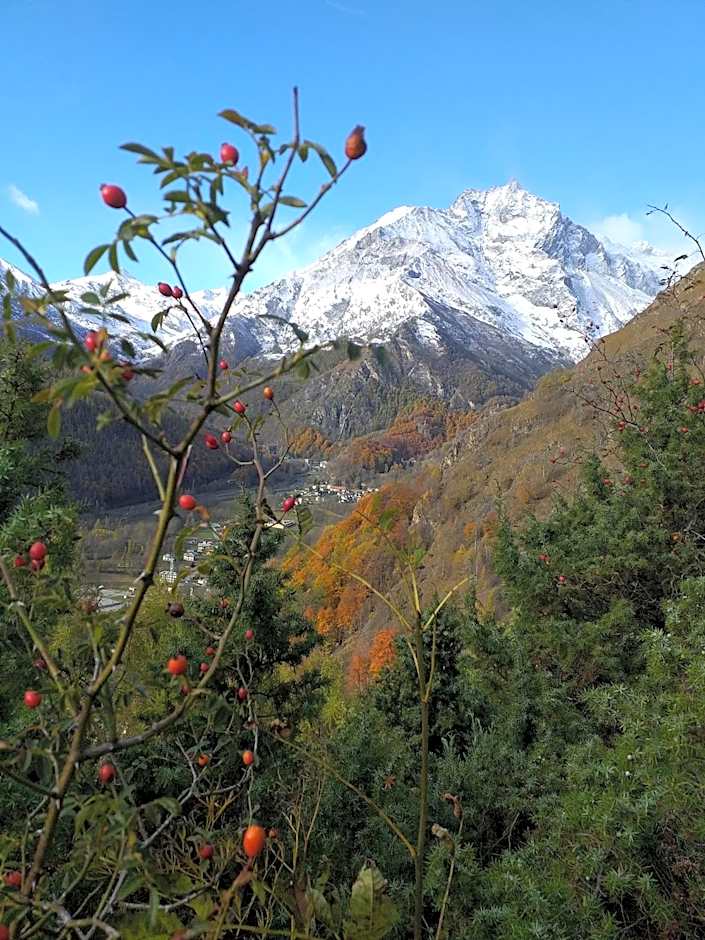 SKYLODGE 'il Rifugio dell'Anima'